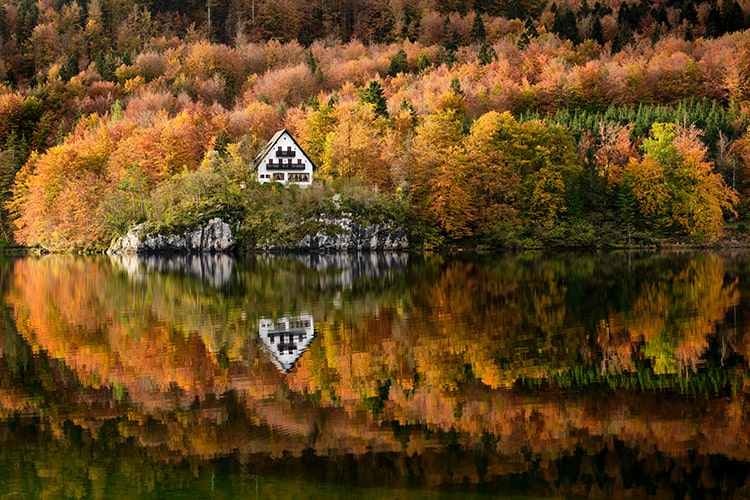 Lake Bohinj Autumn Reflection